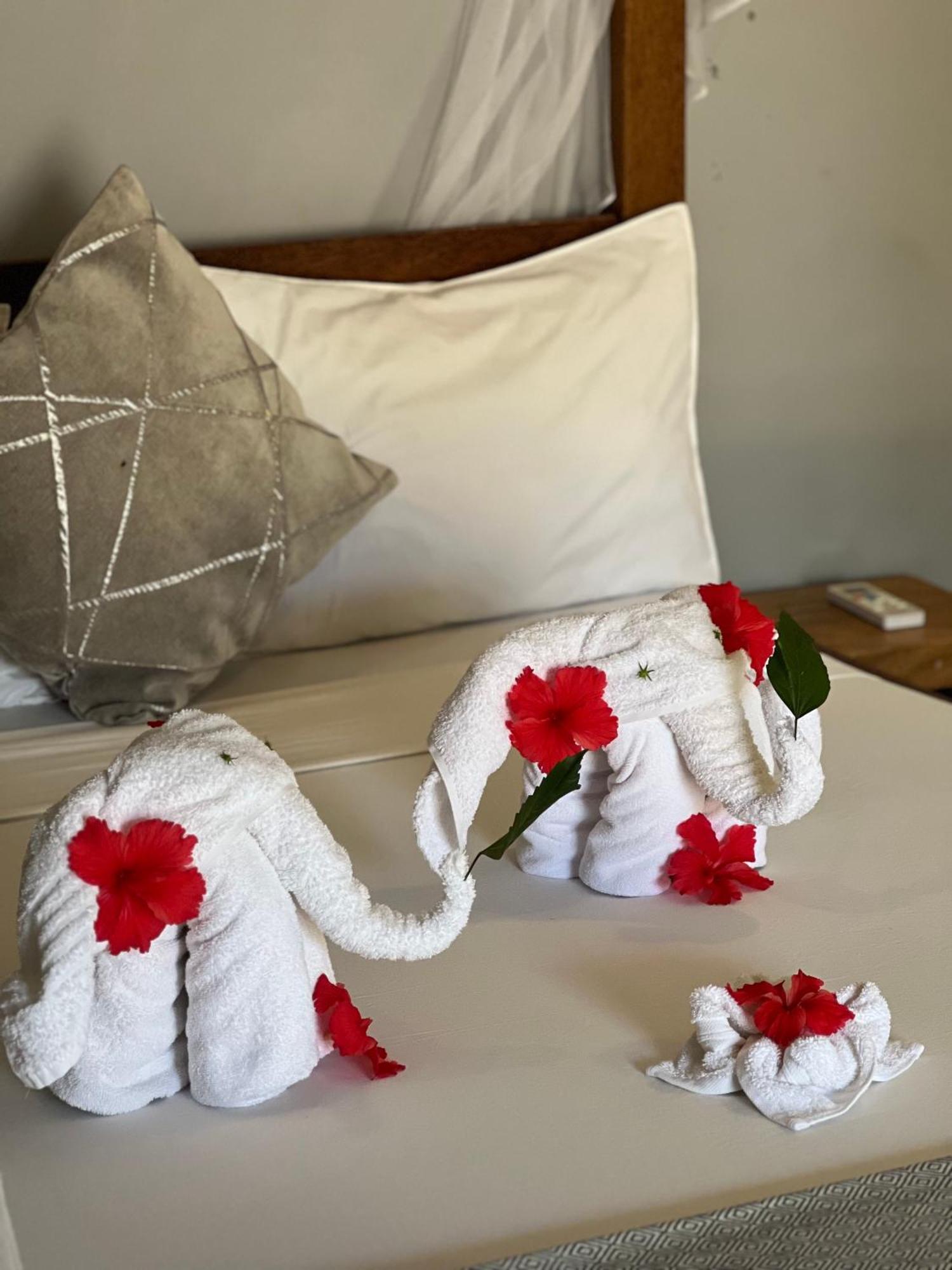 Seashore Beach Hotel Kiwengwa  Dış mekan fotoğraf